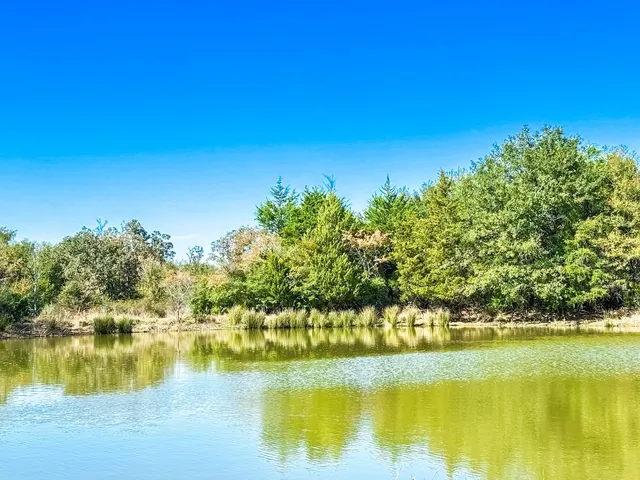 a view of an ocean from a beach
