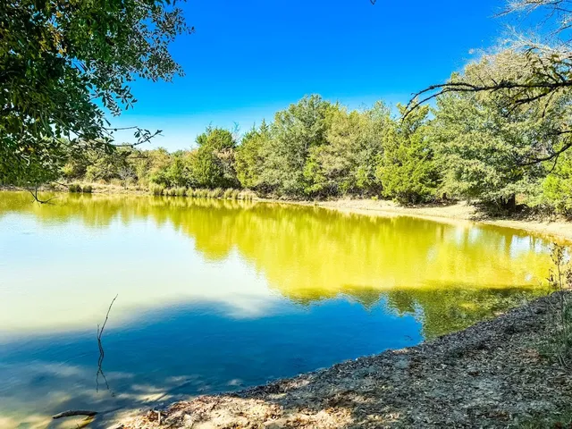 a view of a lake with a building in the background