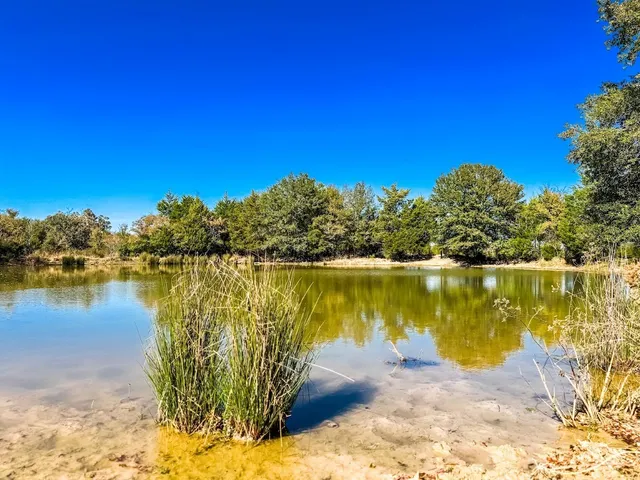 a backyard of a house with lots of trees