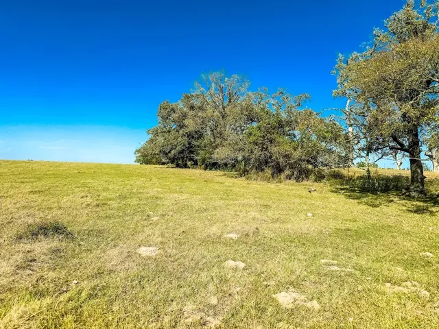 a view of a yard with a tree
