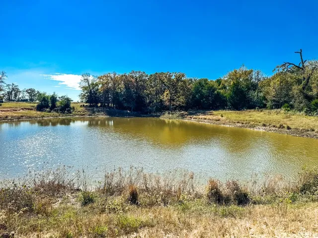 a view of an ocean with trees
