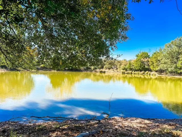 a view of a lake with a building in the background