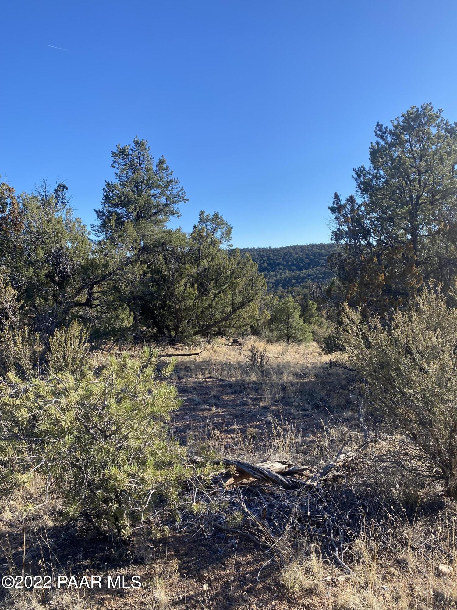 51784 Corofro Road Seligman, AZ 86337 - Photo 16 of 22 IMG-6373