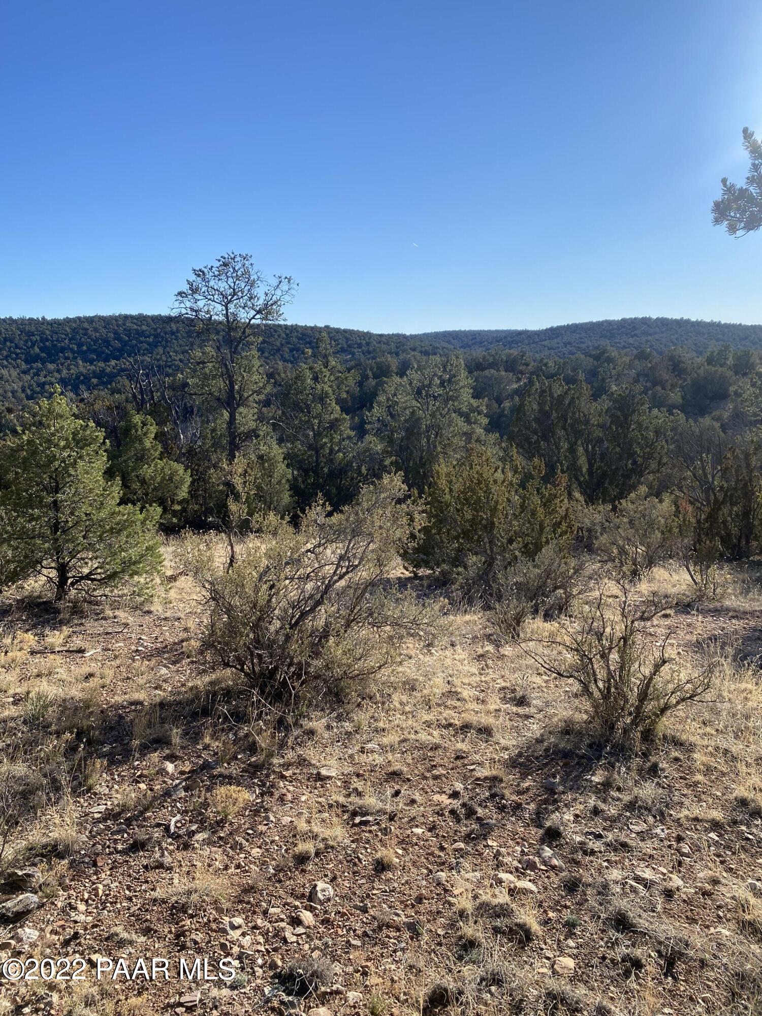 51784 Corofro Road Seligman, AZ 86337 - Photo 17 of 22 IMG-6375