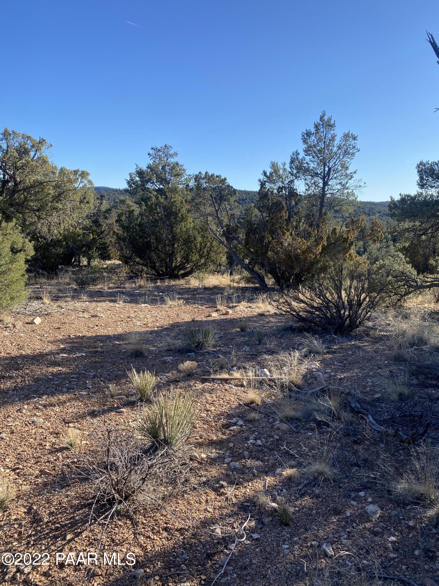 51784 Corofro Road Seligman, AZ 86337 - Photo 18 of 22 IMG-6372
