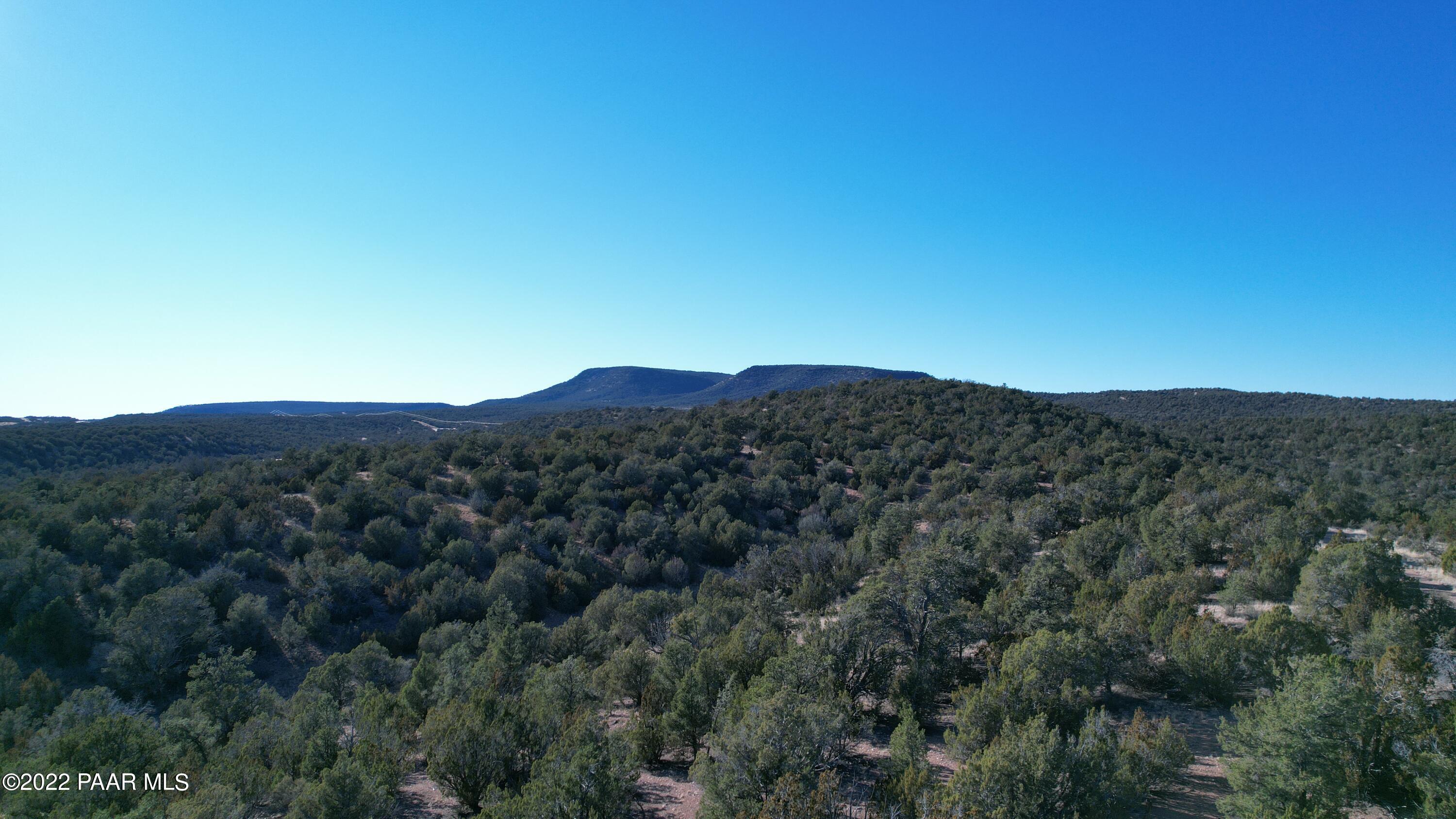 51784 Corofro Road Seligman, AZ 86337 - Photo 4 of 22 DJI_0148