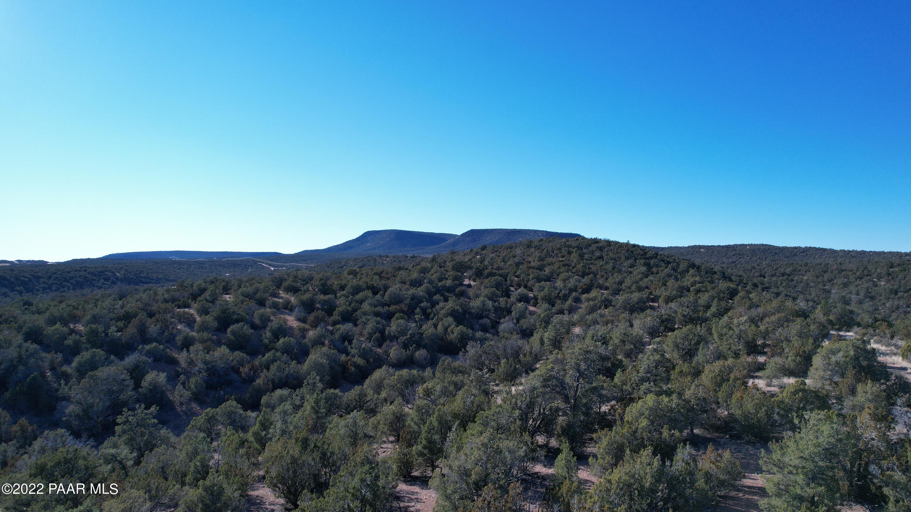 51784 Corofro Road Seligman, AZ 86337 - Photo 5 of 22 DJI_0149