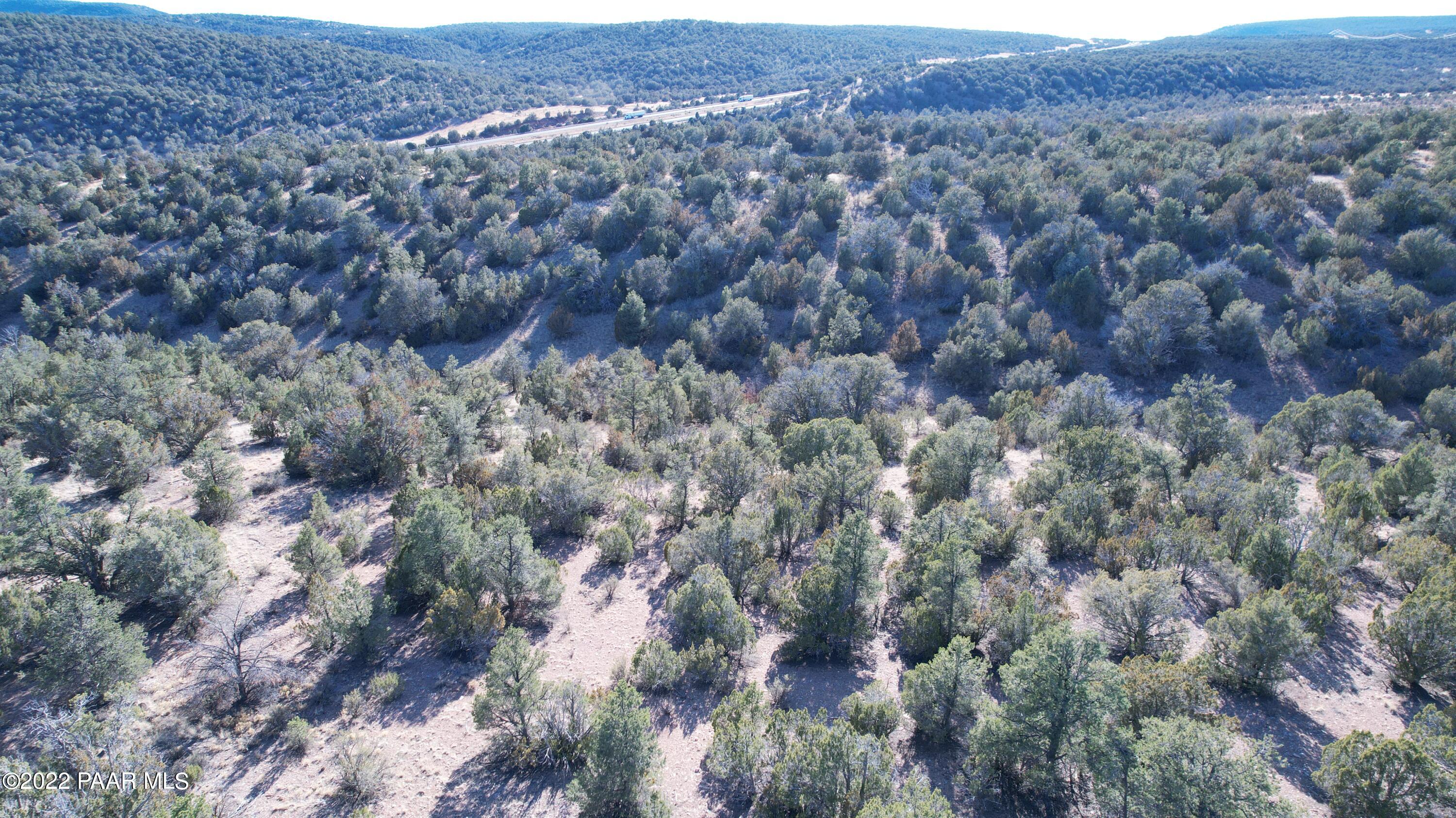51784 Corofro Road Seligman, AZ 86337 - Photo 10 of 22 DJI_0154