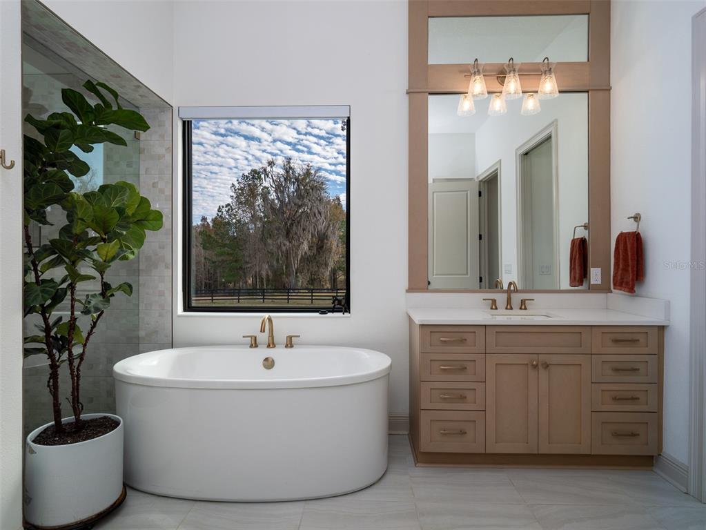 11920 Southeast 22nd Ave Road Ocala, FL 34480 - Photo 14 of 31 a bathroom with a bathtub and a sink