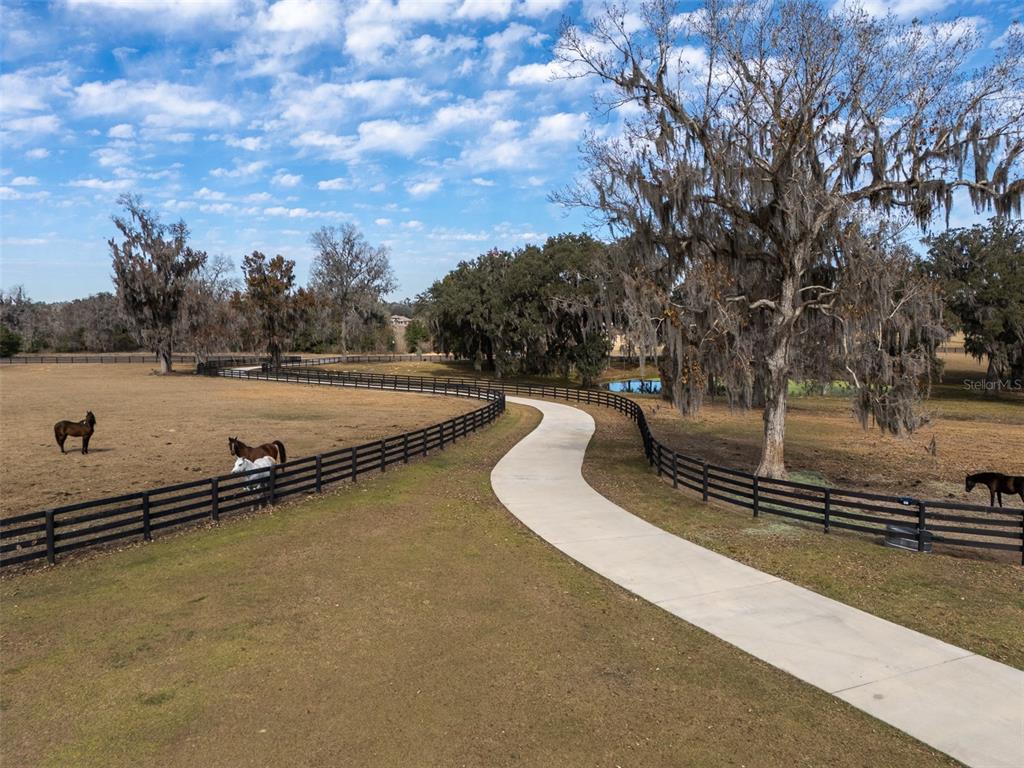 11920 Southeast 22nd Ave Road Ocala, FL 34480 - Photo 27 of 31 a view of a swimming pool with an outdoor seating