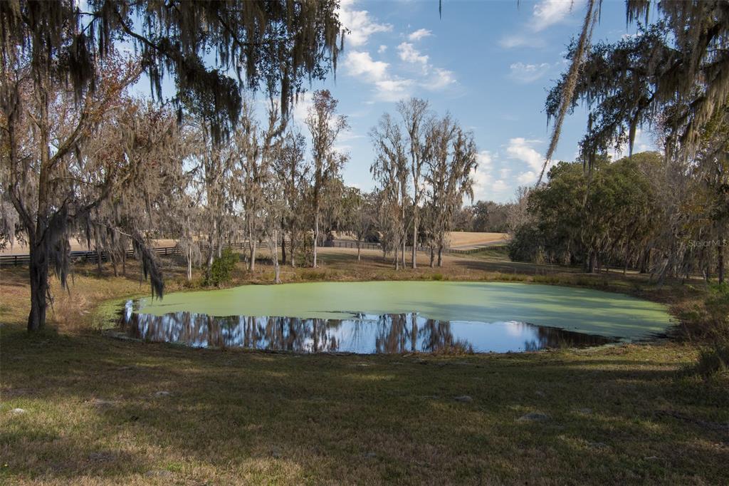 11920 Southeast 22nd Ave Road Ocala, FL 34480 - Photo 28 of 31 a view of a golf course with a lake view