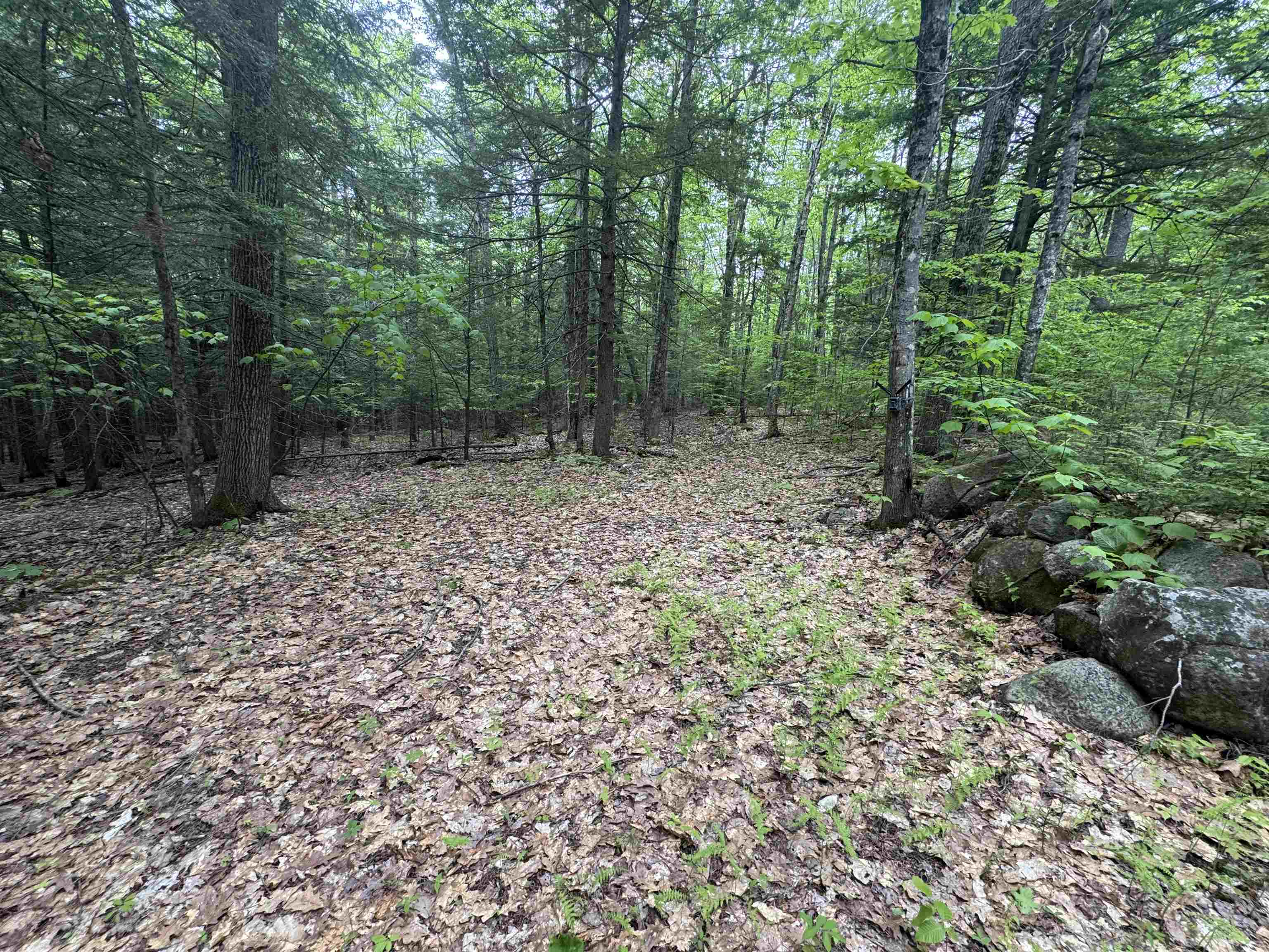 Lot 13 Beach Pond Road Wolfeboro, NH 03894 - Photo 4 of 17
