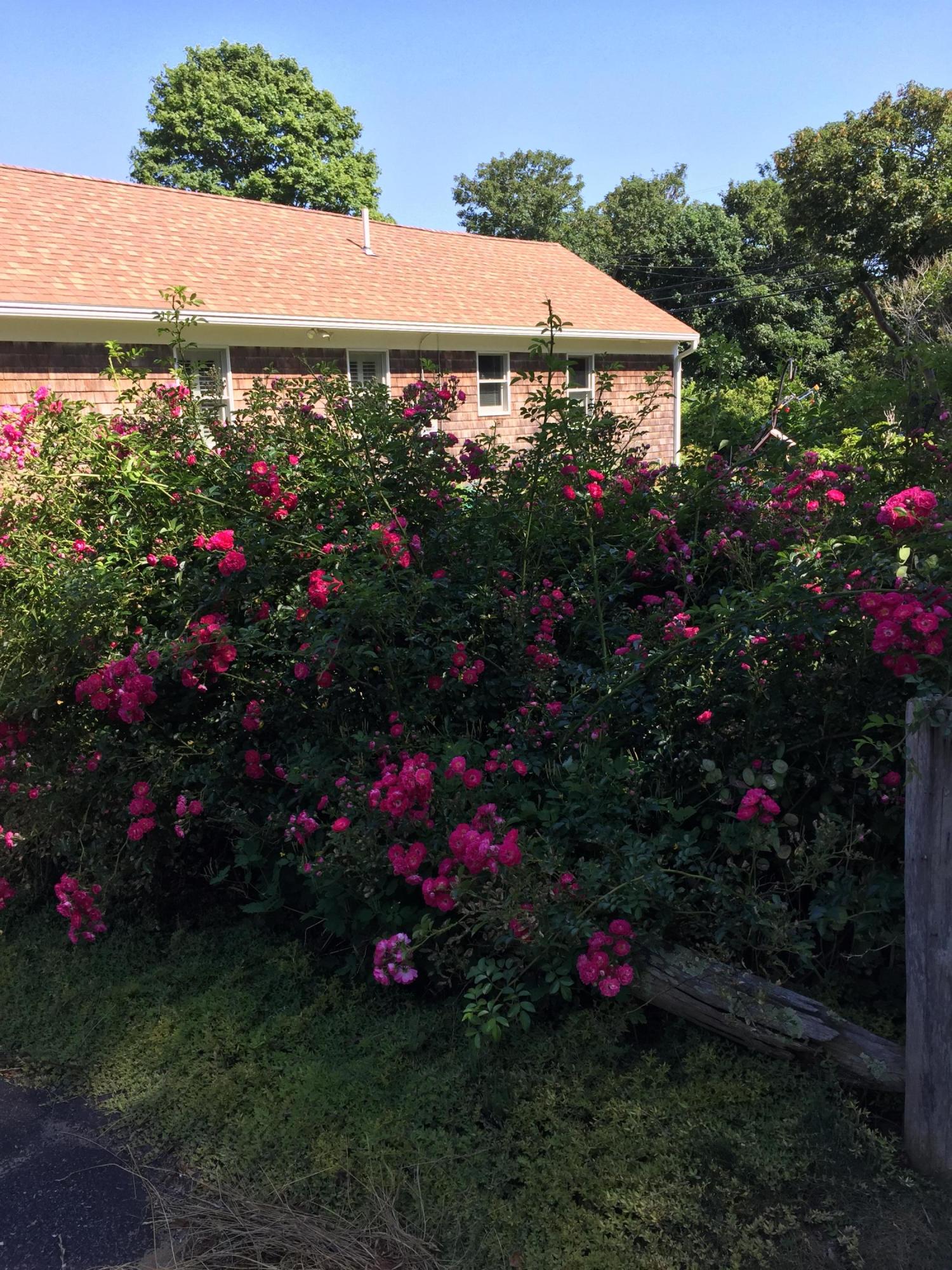 994 Queen Anne Road Harwich, MA 02645 - Photo 41 of 42 IMG_6102