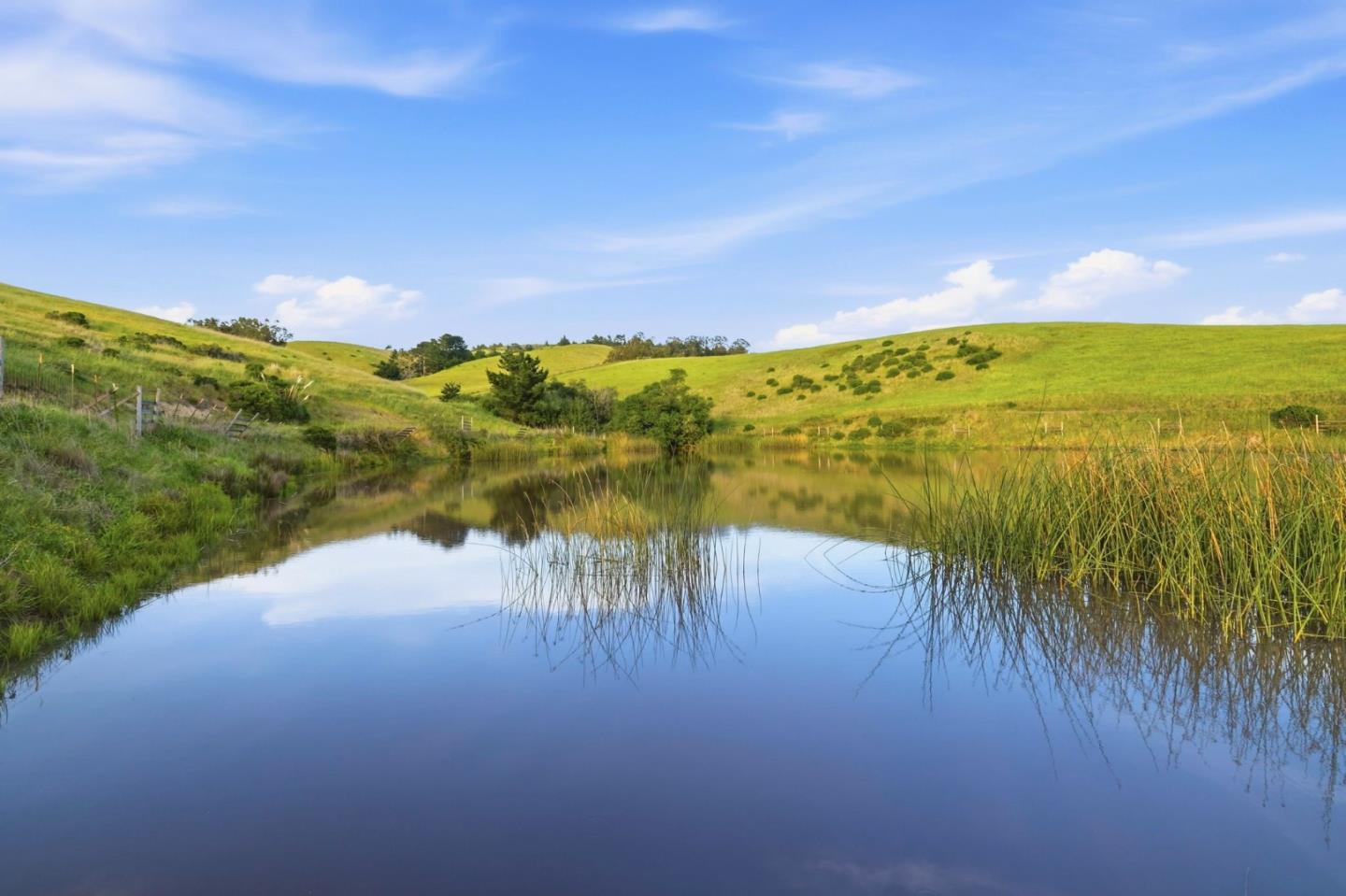 560 Stage Road Pescadero, CA 94060 - Photo 17 of 18