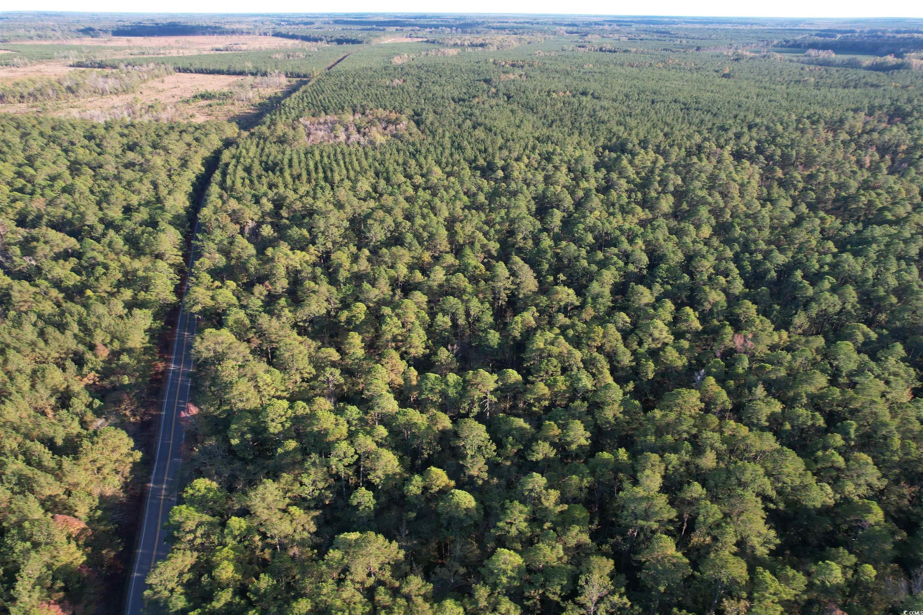 Tbd Tbd Roper Woods Road Lake City, SC 29560 - Photo 2 of 9