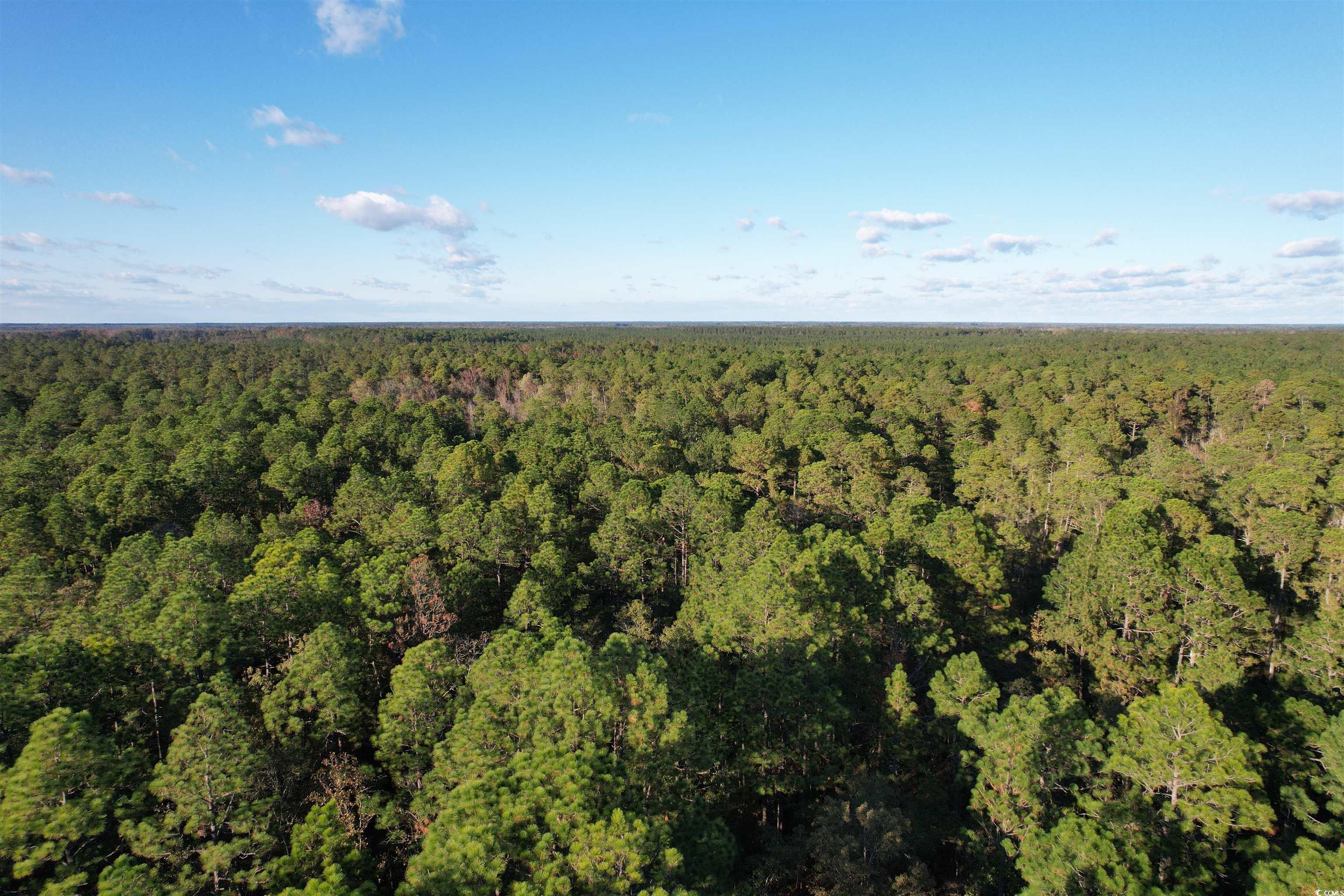 Tbd Tbd Roper Woods Road Lake City, SC 29560 - Photo 4 of 9