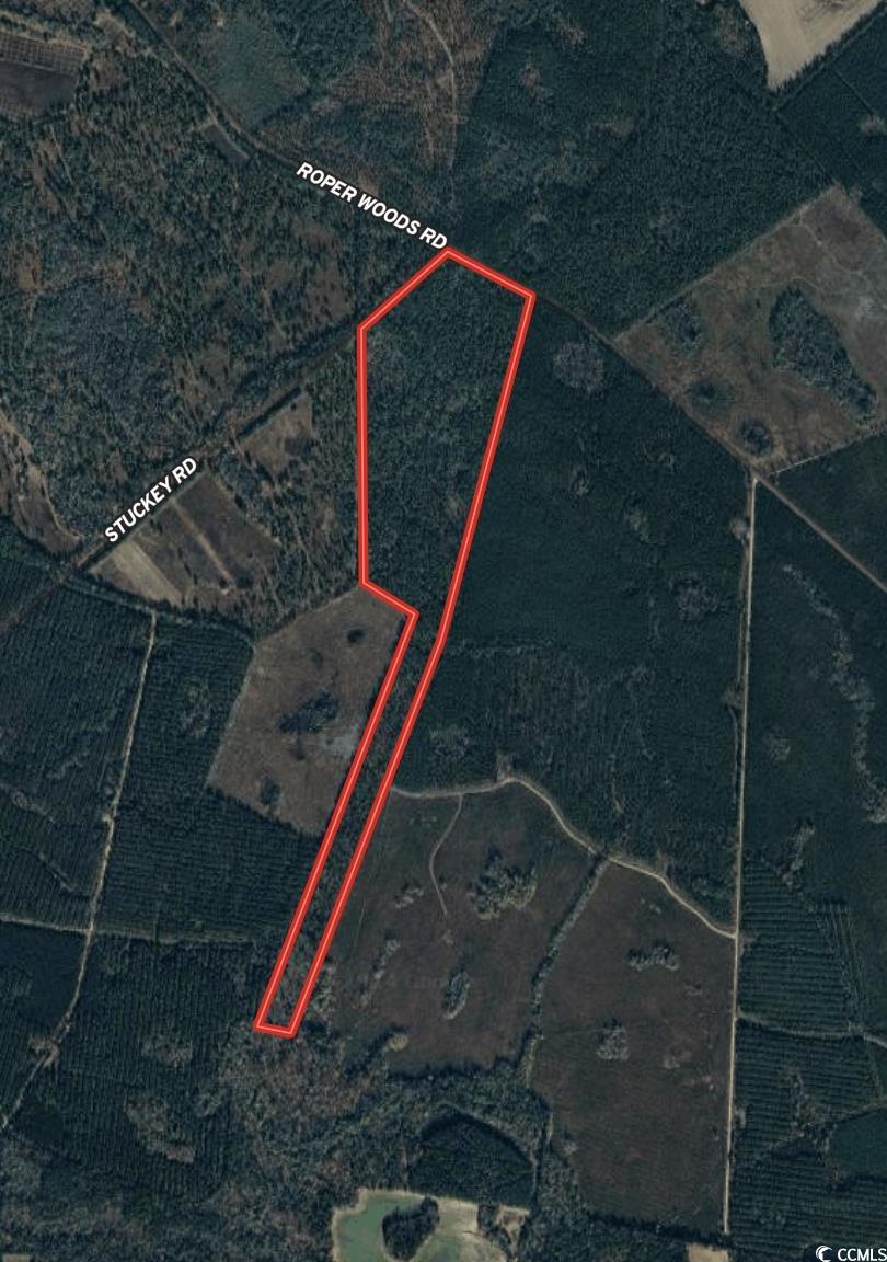 Tbd Tbd Roper Woods Road Lake City, SC 29560 - Photo 9 of 9