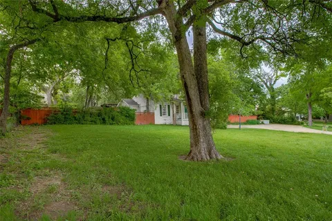 a view of a garden with a tree