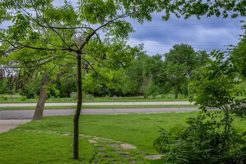 a view of a yard with a tree