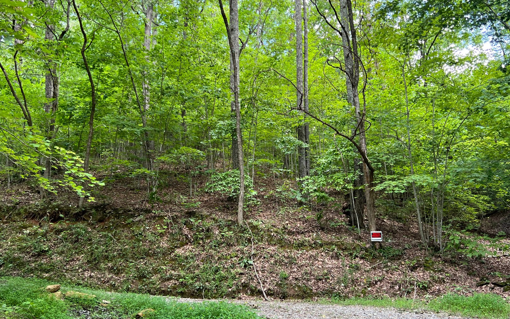 L87 Wolf Mountain Road Murphy, NC 28906 - Photo 3 of 26 Additional View