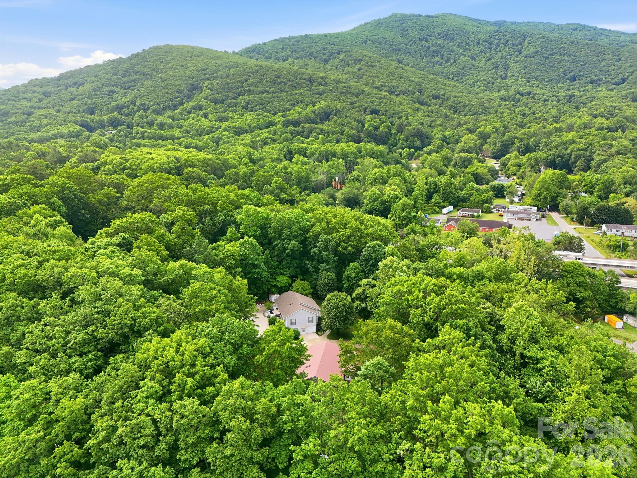124 Lytle Cove Road Swannanoa, NC 28778 - Photo 10 of 47