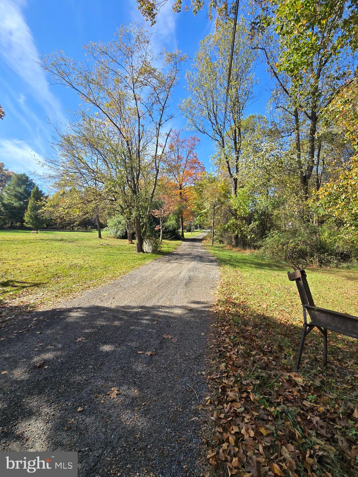 27 Behm Lane Colora, MD 21917 - Photo 20 of 25 a view of a yard with a tree
