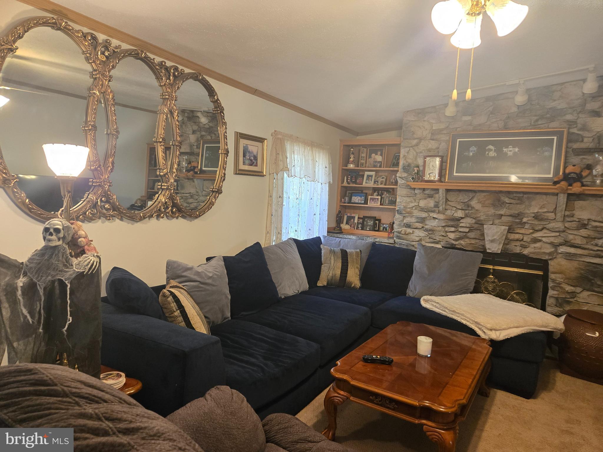 27 Behm Lane Colora, MD 21917 - Photo 24 of 25 a living room with furniture and a fireplace