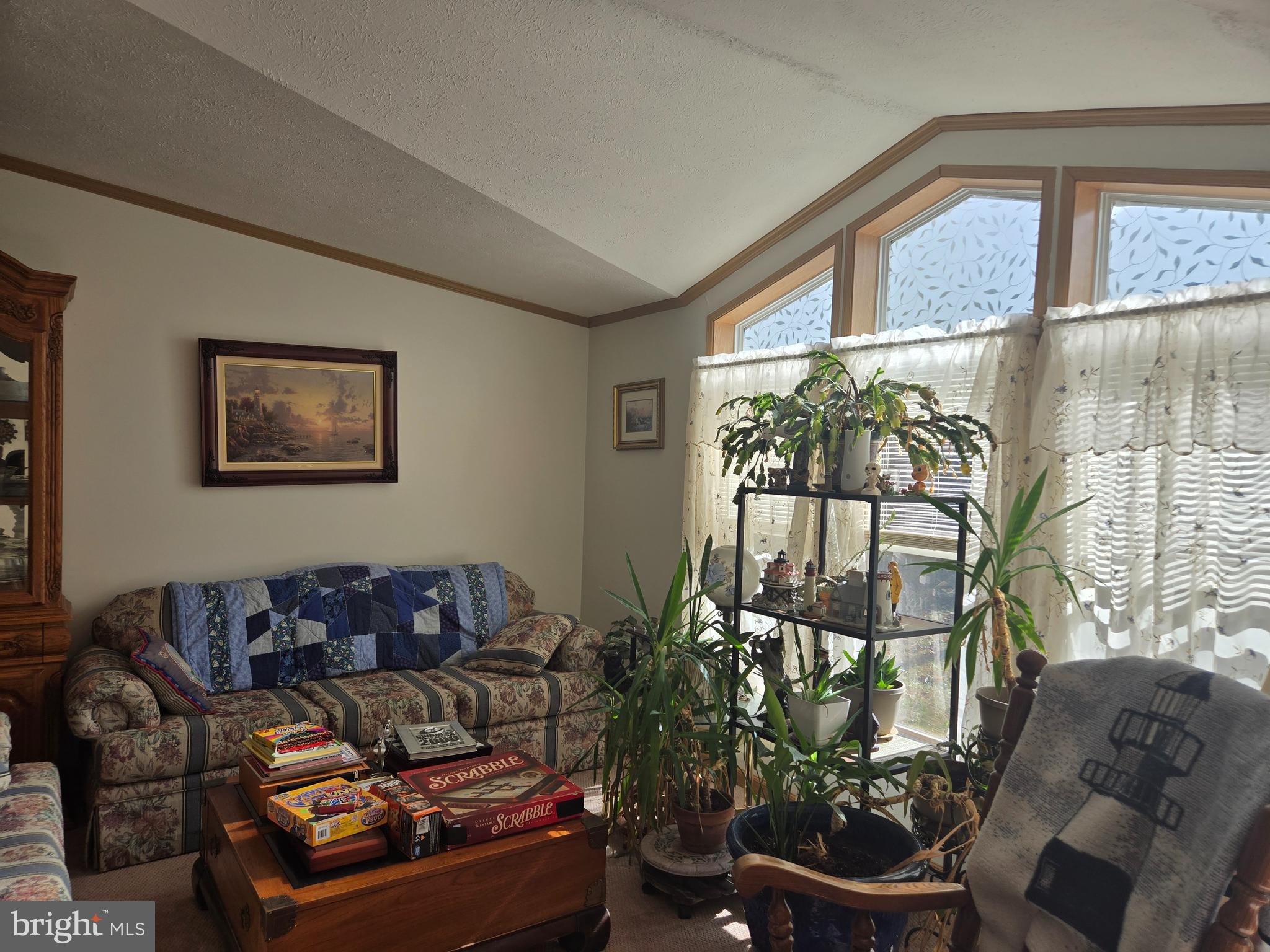 27 Behm Lane Colora, MD 21917 - Photo 4 of 25 a living room with furniture and a potted plant