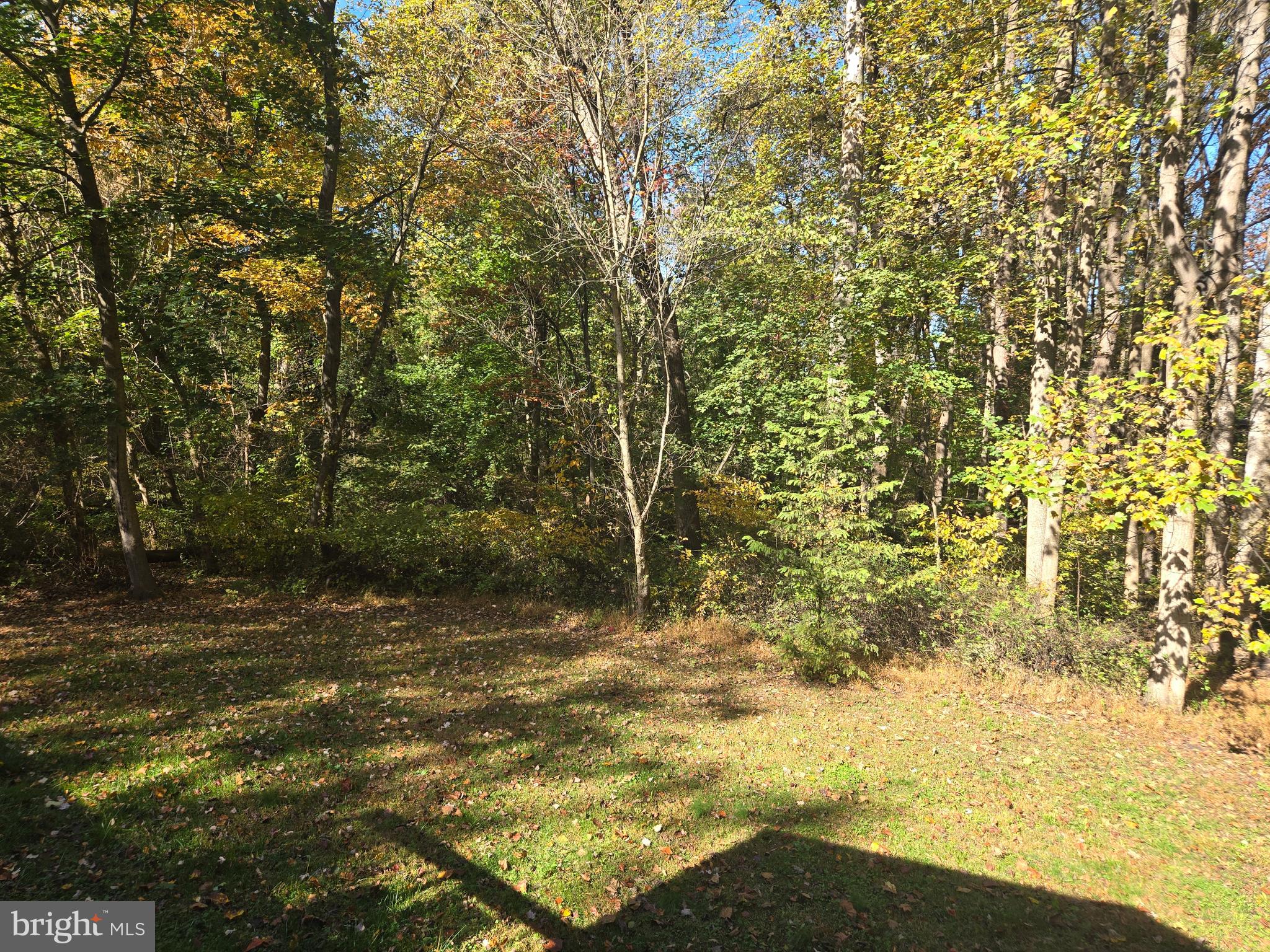 27 Behm Lane Colora, MD 21917 - Photo 8 of 25