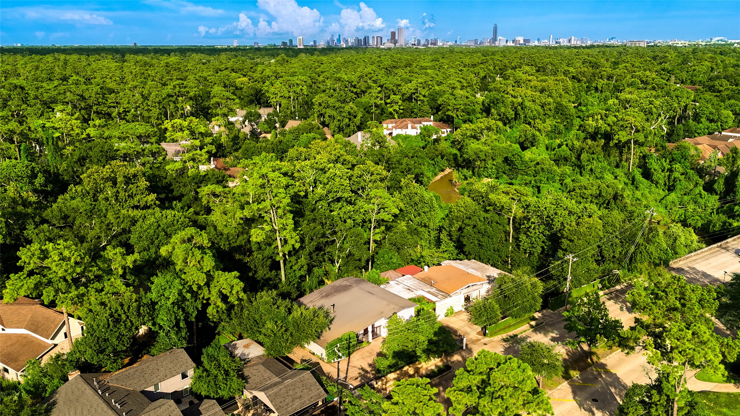 6 Gessner Road Houston, TX 77024 - Photo 44 of 49 a view of a yard