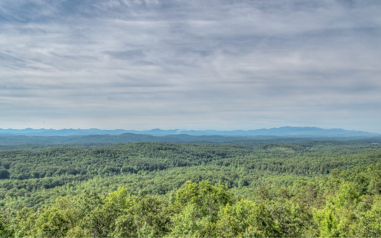 279 Rising Star Lane Ellijay, GA 30536 - Photo 45 of 70 Additional View