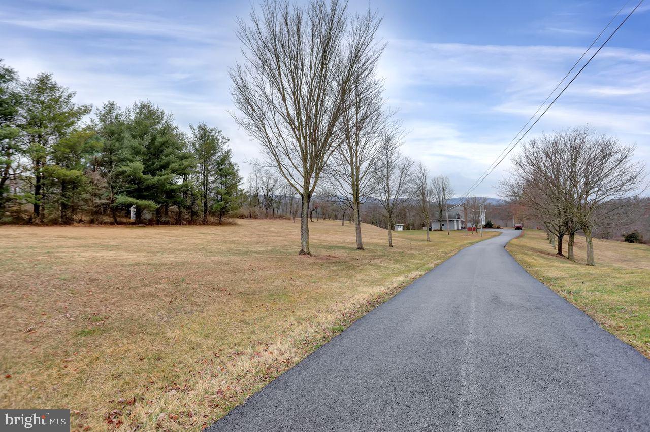 113 Old State Road Shermans Dale, PA 17090 - Photo 64 of 84 Tree-lined paved driveway