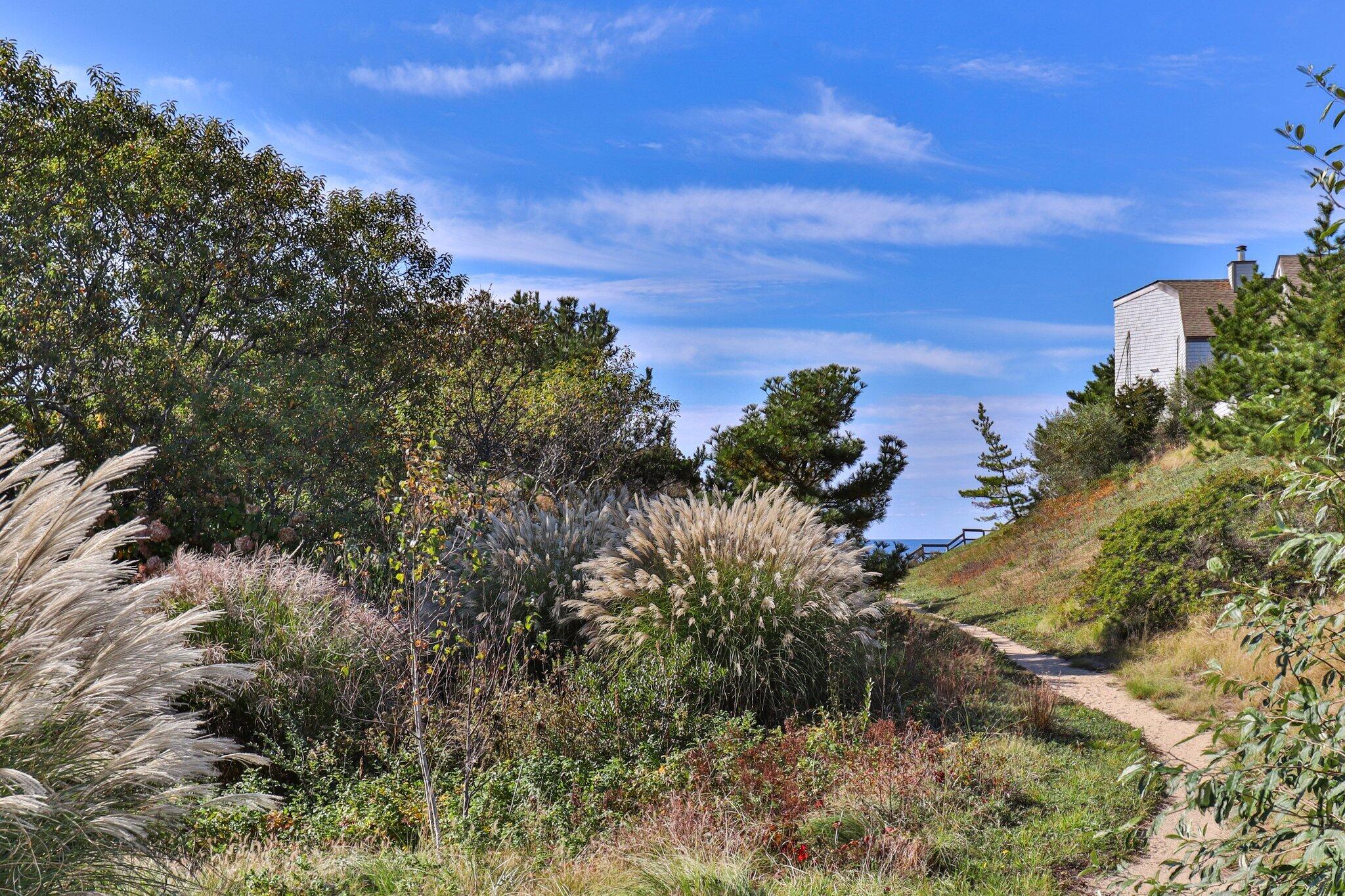 18 Sandpiper Road Truro, MA 02666 - Photo 11 of 19 9-web-or-mls-18-sandpiper-rd