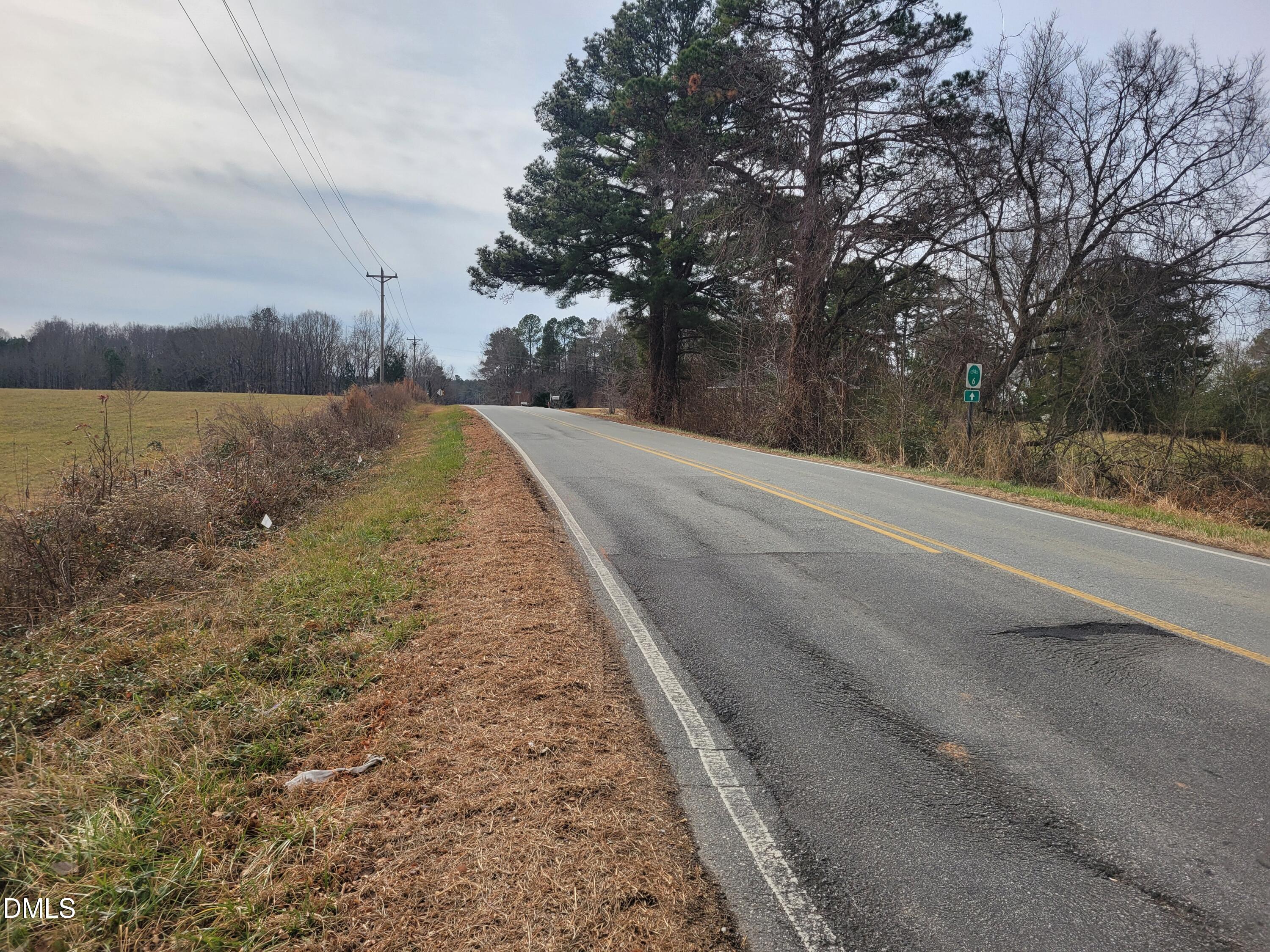 121 Parks Crossroads Church Road Ramseur, NC 27316 - Photo 12 of 16 a view of a dry yard with trees