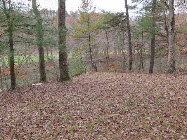 0 Forest Road Hustontown, PA 17229 - Photo 20 of 25 Gallery Image 20