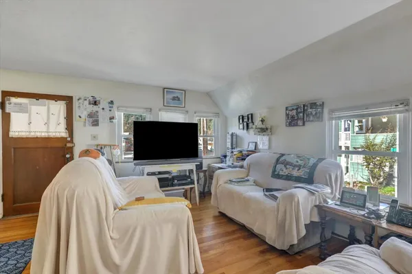 a view of a lush green forest with lots of trees