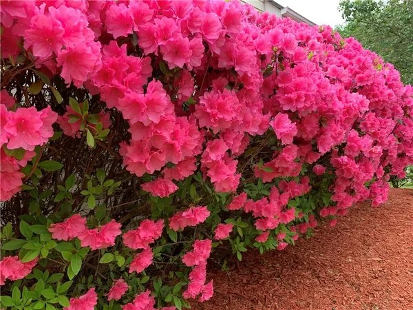 $4,500 | 2020 Chelton Way Southeast, Smyrna, GA 30080