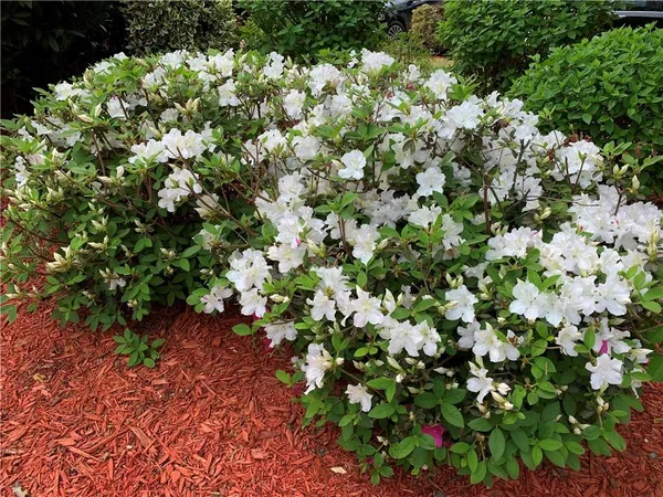 $4,500 | 2020 Chelton Way Southeast, Smyrna, GA 30080