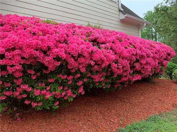 $4,500 | 2020 Chelton Way Southeast, Smyrna, GA 30080