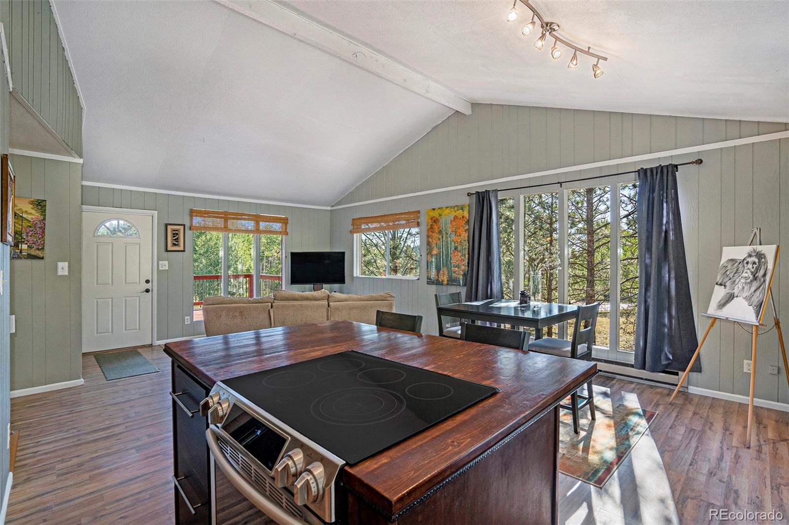 249 Burland Drive Bailey, CO 80421 - Photo 2 of 24 a view of a dining room with furniture window and wooden floor