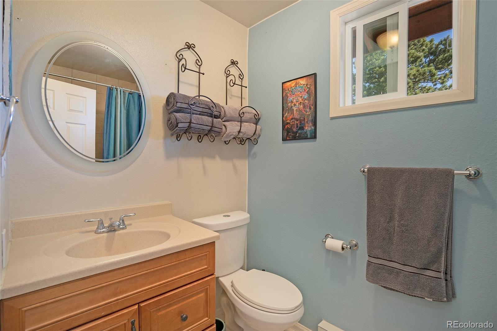 249 Burland Drive Bailey, CO 80421 - Photo 10 of 24 a bathroom with a toilet a sink and mirror