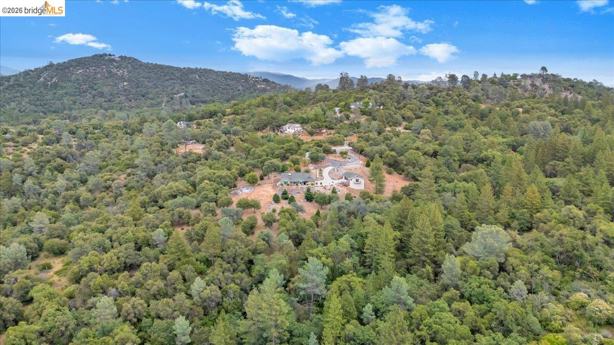 18180 Robin Ridge Road Sonora, CA 95370 - Photo 83 of 88 Expansive wooded landscape featuring mature trees and a distant mountain backdrop