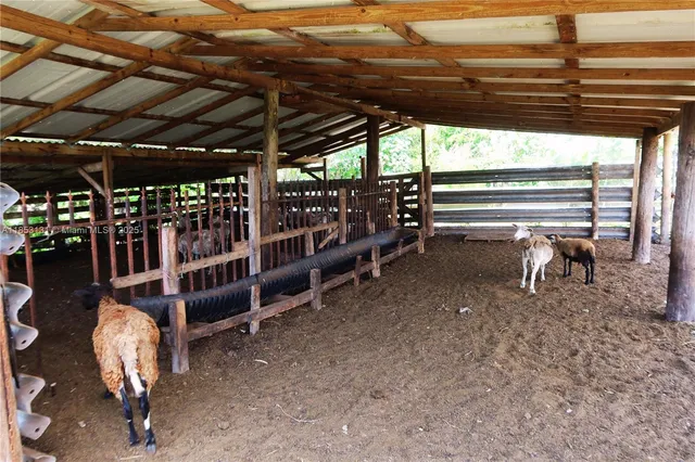 a view of backyard with tub