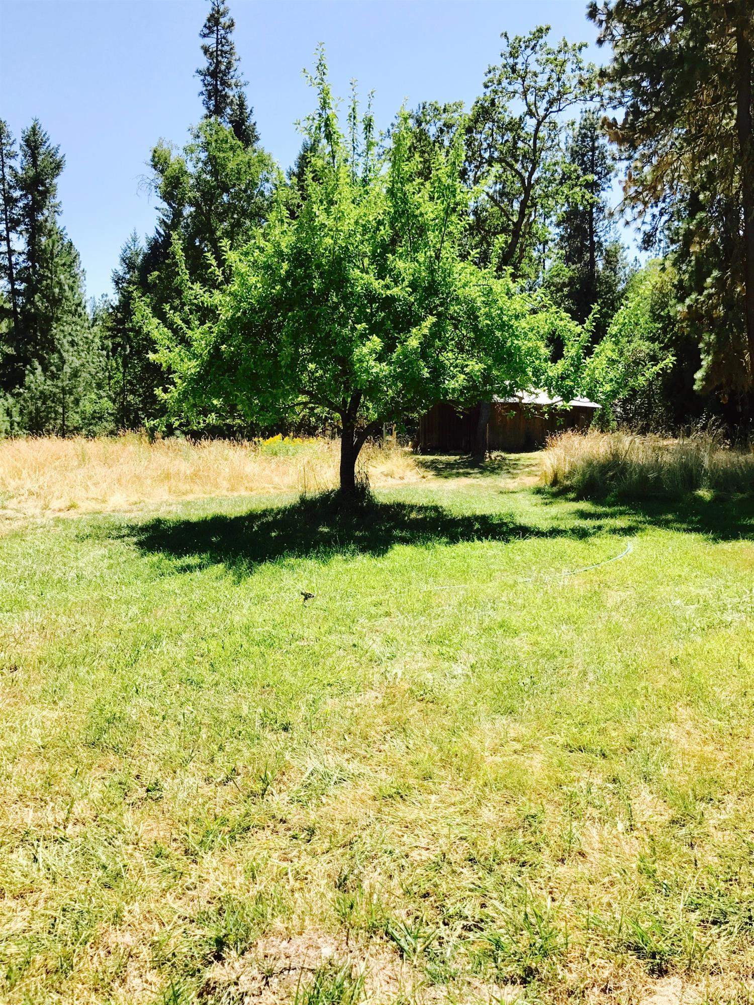 970 Cedar Flat Road Williams, OR 97544 - Photo 17 of 29 Additional Photo