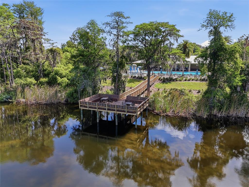 11403 Biddeford Place New Port Richey, FL 34654 - Photo 70 of 78