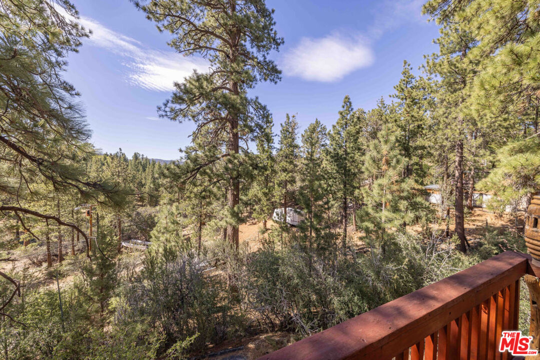 44185 Tim Ron Sugarloaf, CA 92386 - Photo 20 of 45