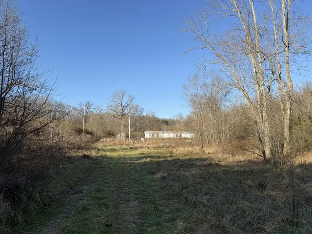 a view of large trees with a yard