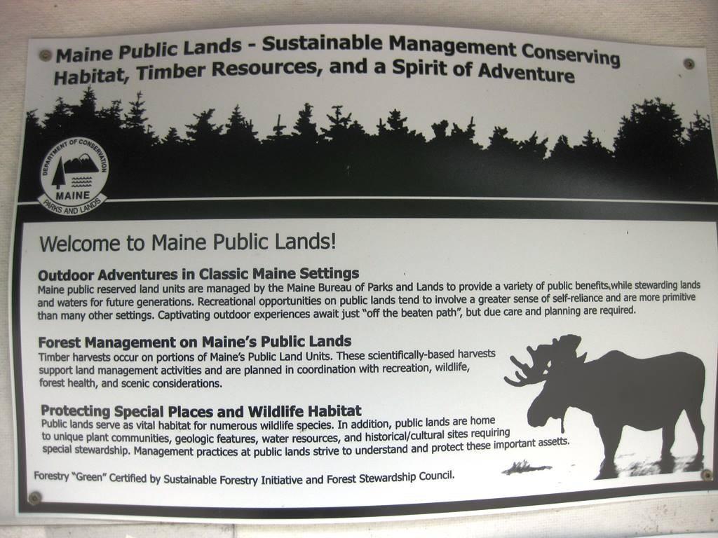 221 East Spring River Lake Road Cherryfield, ME 04622 - Photo 27 of 30 Photo