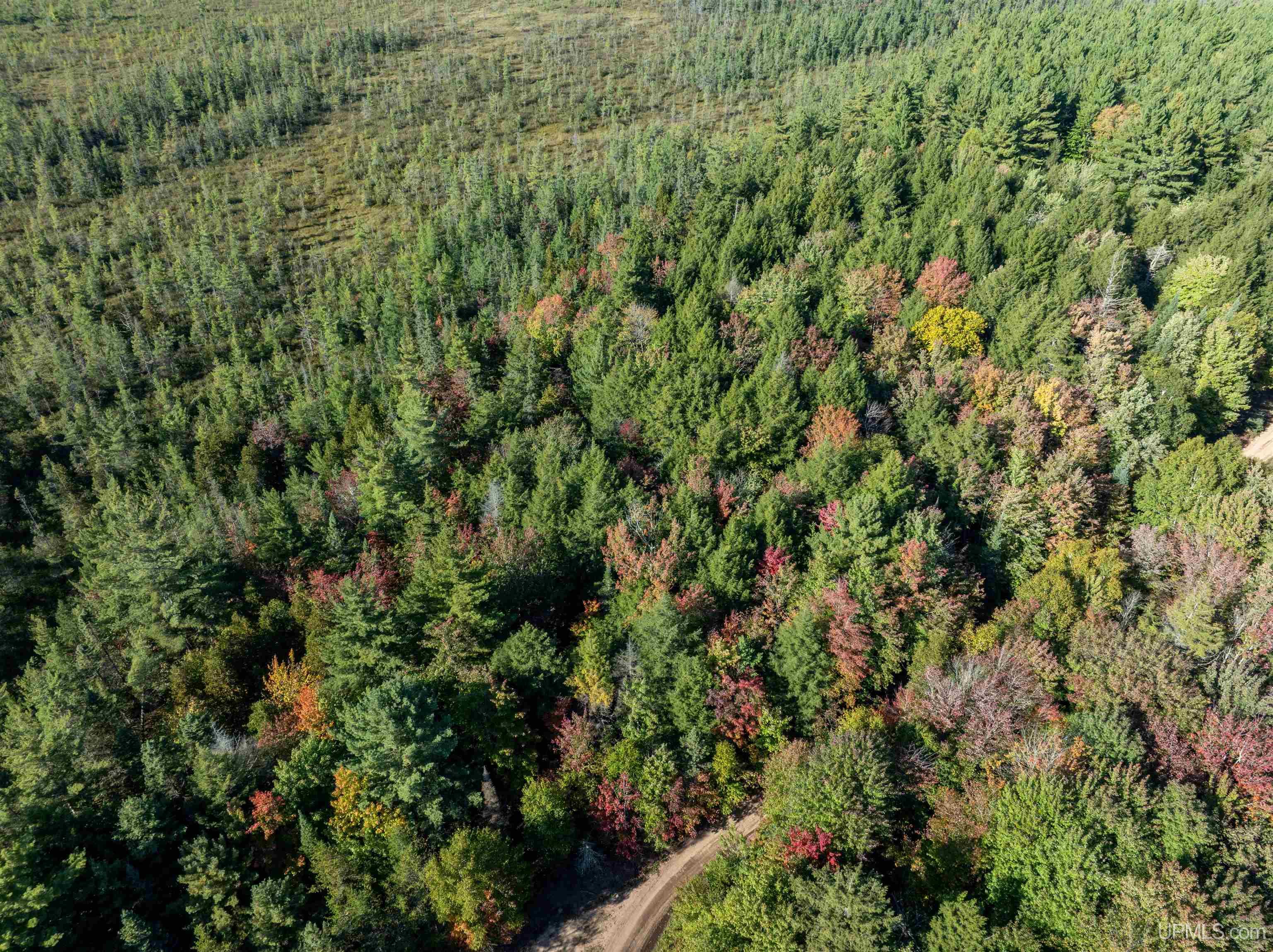 N1241 Old Plank Road Wetmore, MI 49895 - Photo 8 of 9