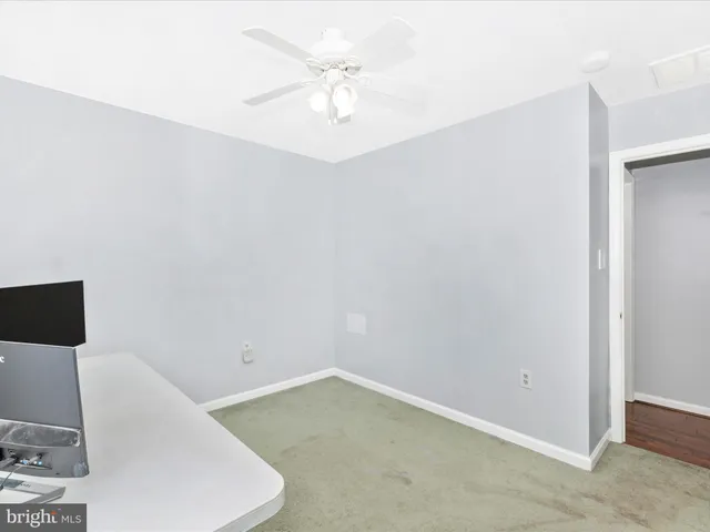 a view of a tennis ground with a large trees